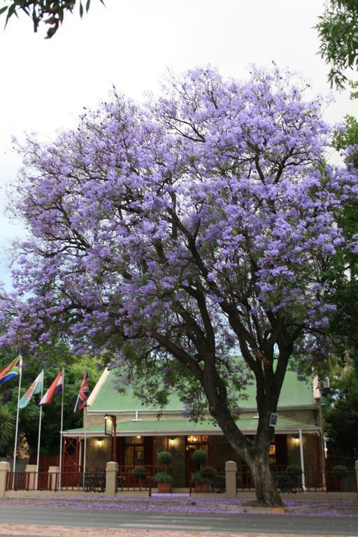 88 Baron Van Reede Guesthouse Oudtshoorn Bagian luar foto