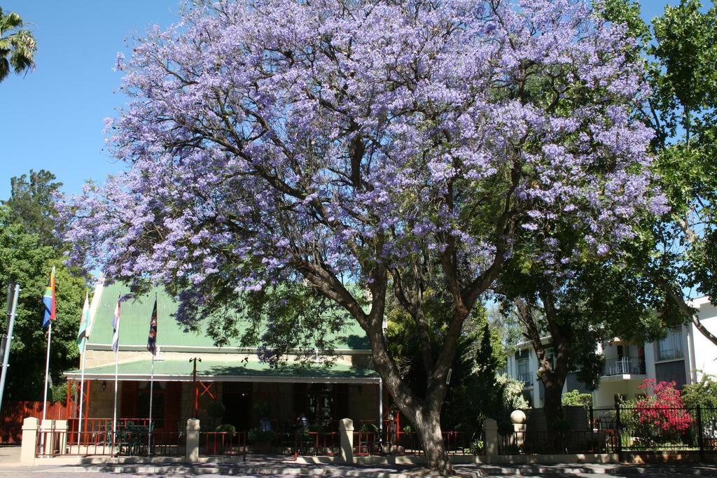 88 Baron Van Reede Guesthouse Oudtshoorn Bagian luar foto